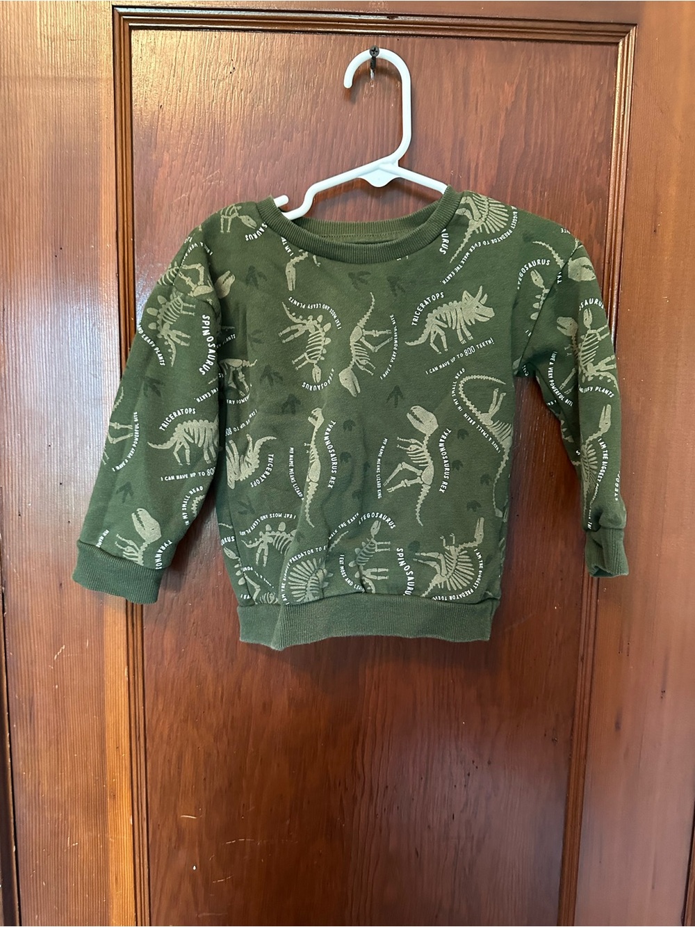 Primark Olive Green Dinosaur Sweatshirt for Kids